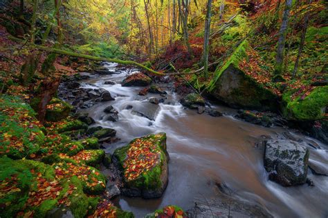 Cern River In Autumn Setting Photograph By Cosmin Stan Fine Art America