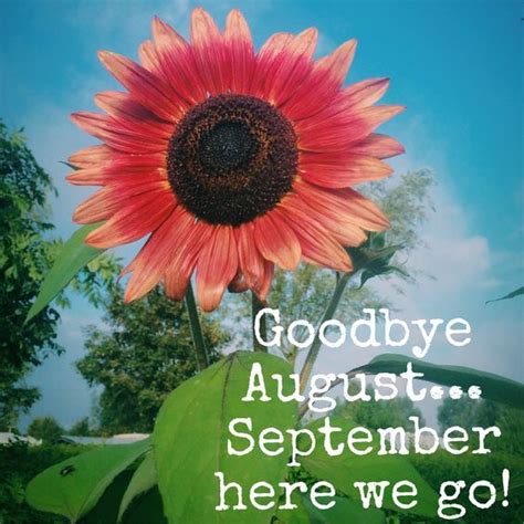 Goodbye Augustseptember Here We Go Pictures Photos And Images For