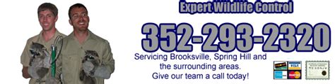 Best for mosquitoes in brooksville. Brooksville Wildlife Control Company, Hernando County FL ...