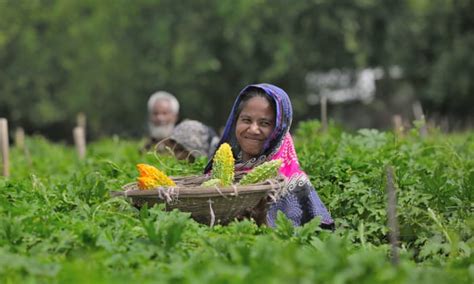 How Bangladeshis Are Benefiting From A Shake Up In The Seed Sector