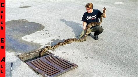 CITY SEWER FISHING a 15 FOOT Long GIANT! - YouTube