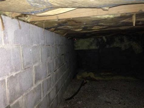 Maybe you would like to learn more about one of these? Woods Basement Systems, Inc. Photo Album - St. Louis, MO ...