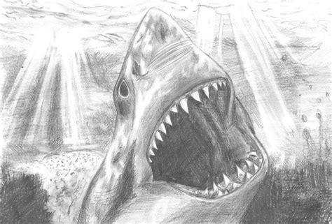 Jaws 2 Shark Drawing