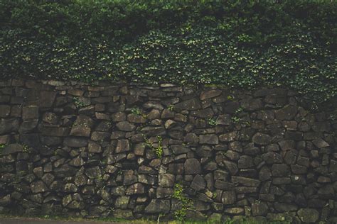 Green Outdoor Plants On Brown Brick Wall · Free Stock Photo