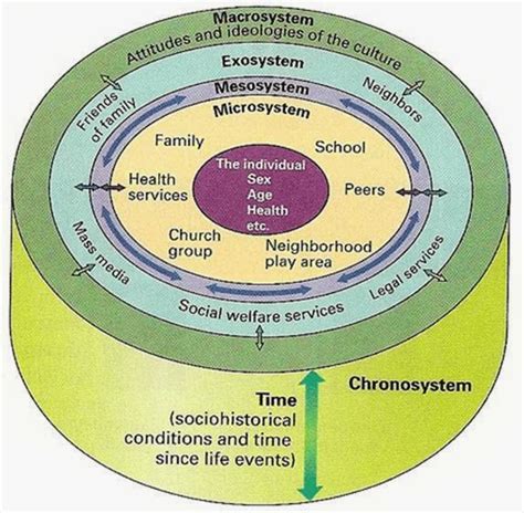 Bronfenbrenner's ecological systems theory has influenced the thinking of psychologists throughout the world ever since the scientist first put it forth, particularly in the field of child and youth care, where such models as the ecological onion, cube, and umbrella models have been based on. Motor Development: Research and Applications ...