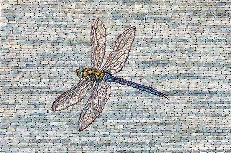 Micro Mosaic Kempini Micro Mosaic Mosaic Dragonfly Wall Art