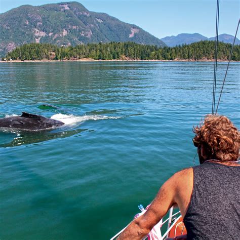 Chartering A Boat To Explore British Columbias Gulf Islands