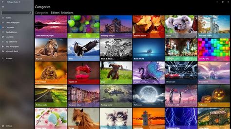 Best Automatic Wallpaper Changers For Windows 10 In 2023 Softonic