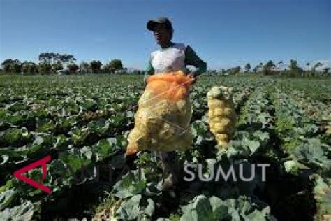 Kajian pertanian dikenali sebagai sains pertanian. Ladang Yang Tidak Diusahakan Di Malaysia