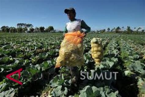 Maybe you would like to learn more about one of these? Ladang Yang Tidak Diusahakan Di Malaysia