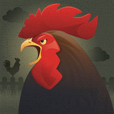210 Crowing Rooster Clip Art Illustrations Royalty Free Vector Graphics And Clip Art Istock