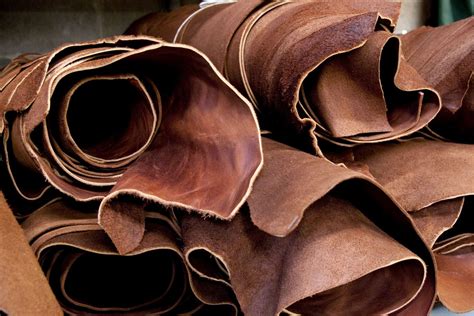 Types Of Shoe Leather The Best Guide You Will Ever Read
