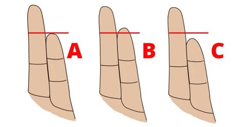 Finger Length Meaning What Does Your Fingers Length Say About Your