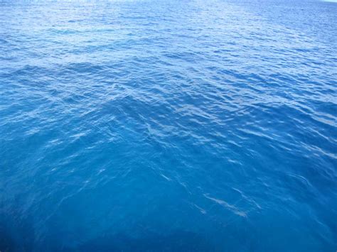 We did not find results for: Miranda Leblanc: ocean background