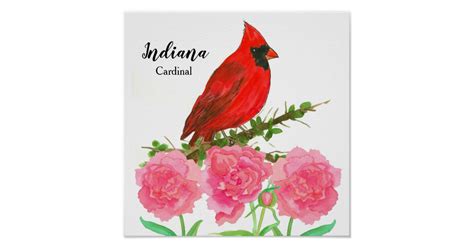 State Bird Of Indiana Northern Cardinal Poster Zazzleca