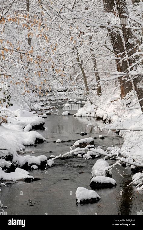 Snowy Stream Virginia Stock Photo Alamy