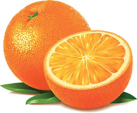 Orange Fruit Clip Art Vector Images And Illustrations Istock