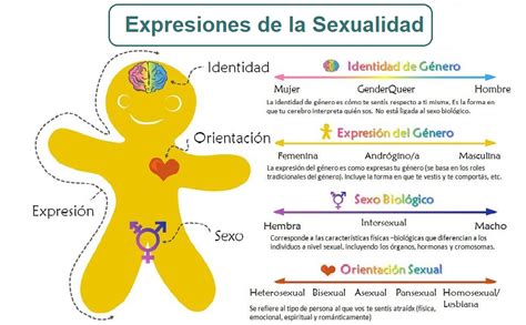 Sexualidad Qué Es Causas Síntomas Tratamiento Y Consejos Fisioonline