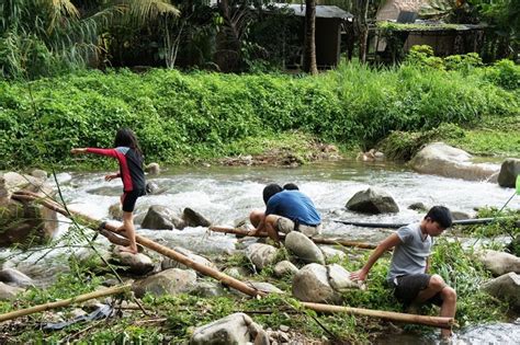 From camp site to home stay to luxury suit rooms, all you can choose according to your preference and budget. Unschooling Homeschool: Camping at Saujana Janda Baik 10 ...