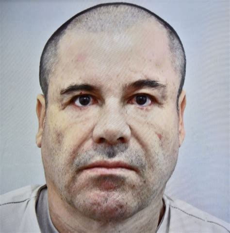 El Chapo Arrested Picture Notorious Drug Kingpin El Chapo