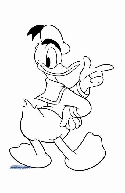 Donald Duck Coloring Pages Pointing Disneyclips Daisy