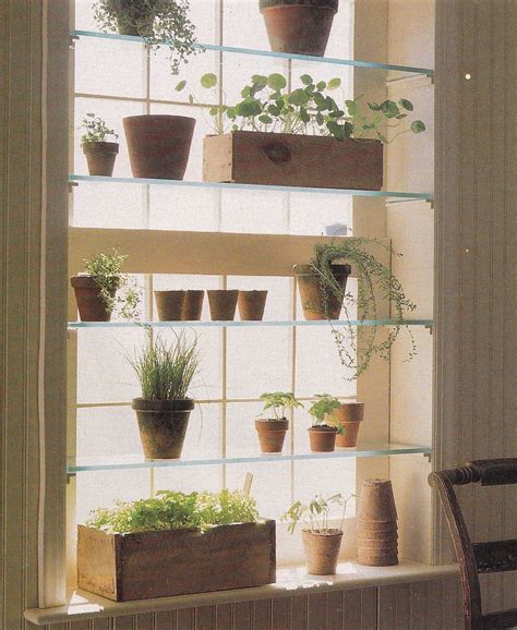 Bring Nature Indoors With A Window Herb Garden