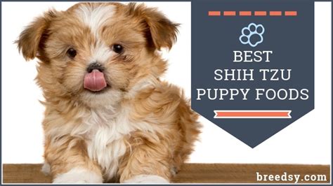 I'm so happy to see this brand of food for my pup at the top of the list! 9 Best Shih Tzu Puppy Foods with Our 2019 Most Affordable Pick