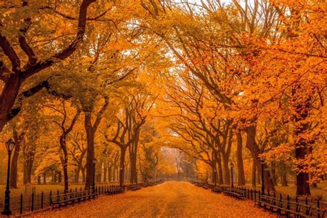Autumn Landscape Wallpaper ·① Wallpapertag