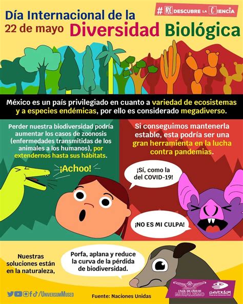 Universum Museo On Twitter Hoy Es El Día De La Diversidad Biológica