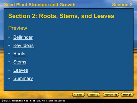 Section 2 Energy Flow In Ecosystems