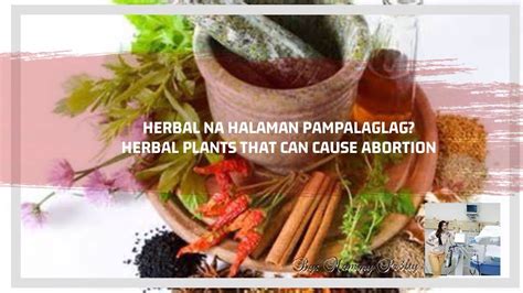 Pampa Regla At Pampalag Lag Na Herbalhalamang Gamot💁 Herbal Plants