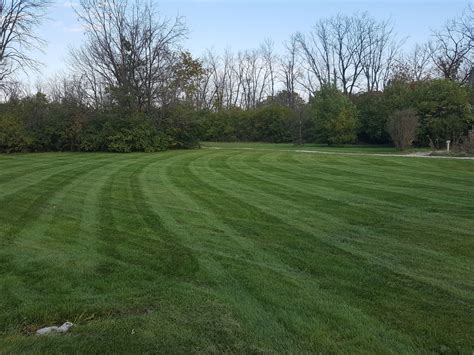 Lawn Care Grass Pro Lawn And Landscaping Llc