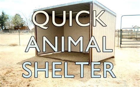 How To Build A Quick Animal Shelter Outbuilders