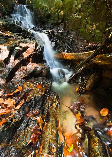 Südamerika, afrika, asien, mittelamerika, australien in der regel zwischen den beiden wendekreisen. Kleiner Wasserfall, Versteckt Im Tropischen Regenwald ...