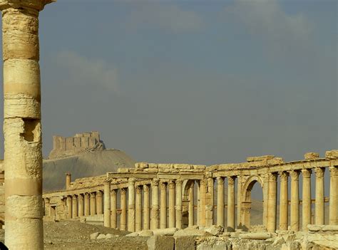 Download Majestic View Of The Historic Agora Site In Palmyra Wallpaper