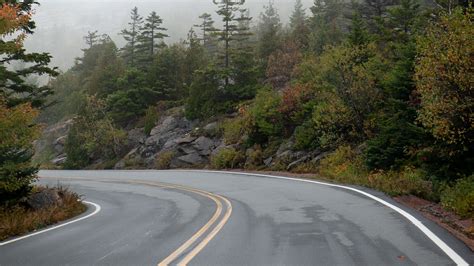 Road Turn Between Colorful Autumn Trees Stones Slope With Fog Hd Autumn