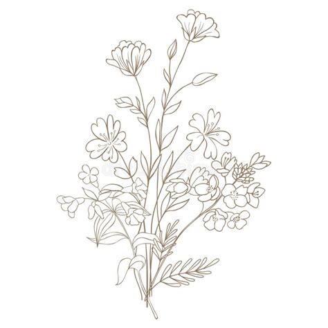 Hand Drawn Wildflower Bouquet Stock Illustration Illustration Of