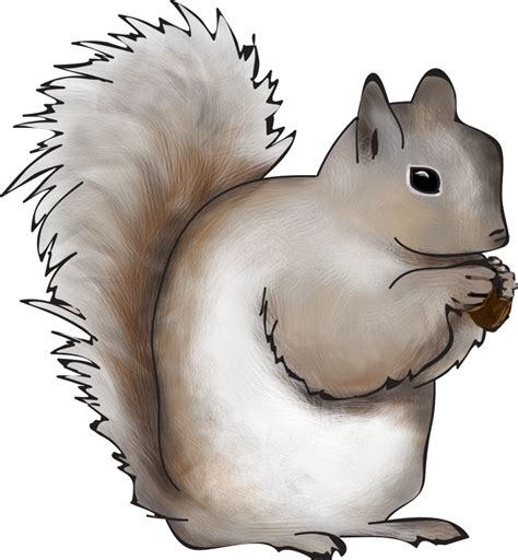 Download High Quality Squirrel Clipart Winter Transparent Png Images