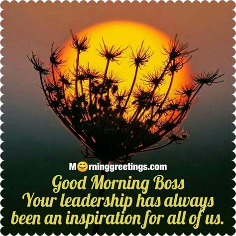 21 Great Good Morning Message For Boss Morning Greetings Morning