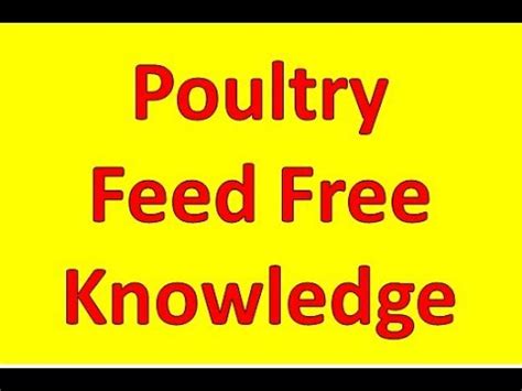 Saving on the cost and feeding your chicken with without going into the math, the digestible crude formula is based on the total percentage amount of protein in the chicken feed ingredients. 🐓 Poultry Feed Formulation Part-1| Poultry Farming ...
