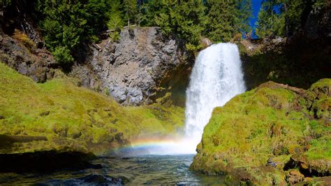 Visit Corvallis 2021 Travel Guide For Corvallis Oregon Expedia