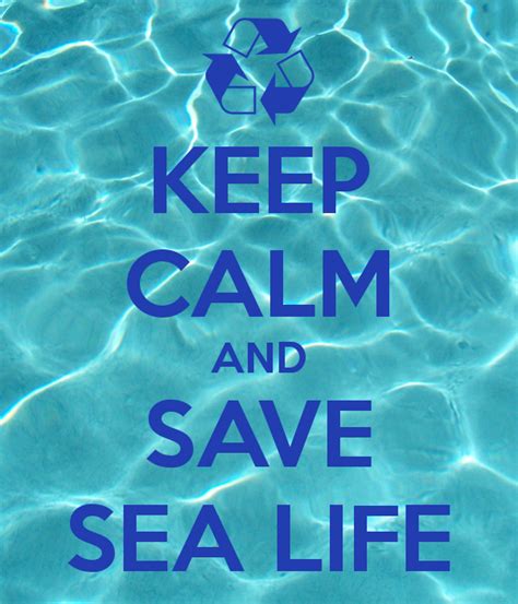 Protect Marine Life The Basics