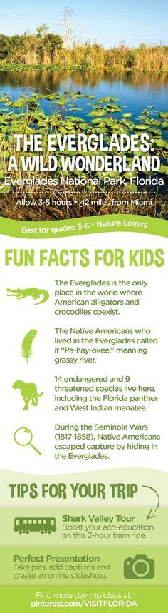 9 Everglades And Parks Ideas Florida Fun Facts For Kids Visit Florida