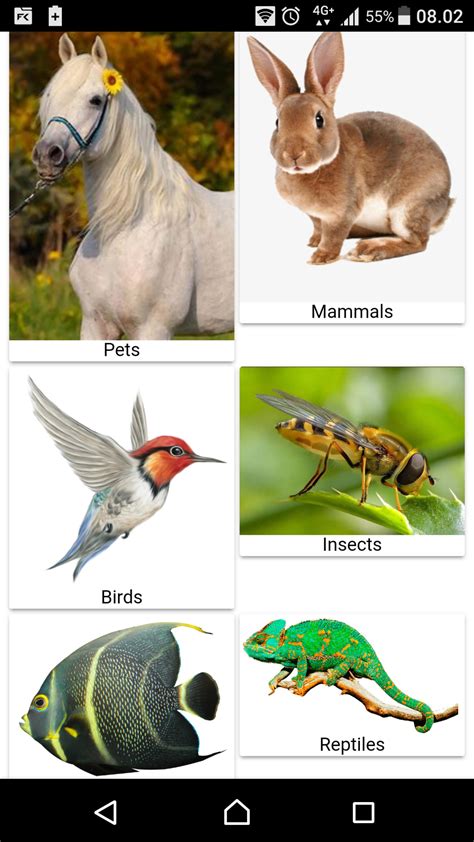 Belajar Nama Hewan dan Suara Hewan APK للاندرويد تنزيل