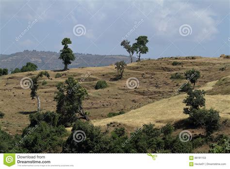 Landscape In Ethiopia Stock Image Image Of Mountain 88191153
