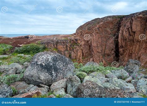Summer Landscape Of Green Polar Tundra With Boulders In The Foreground