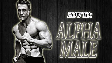 Laws Of Attraction Part Iii The Alpha Male Mentality