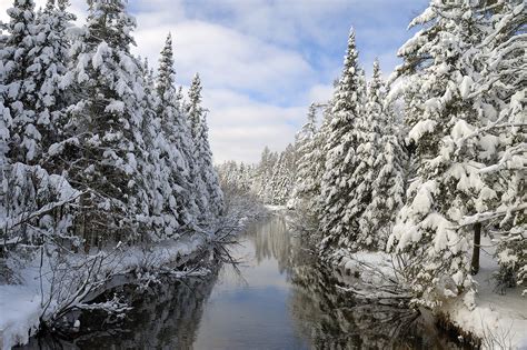 Northwoods Winter Nature And Human Photography