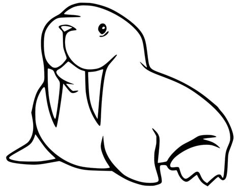 Walrus5 Coloring Page