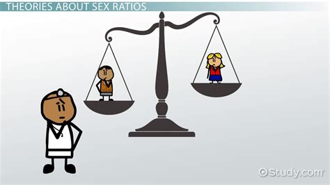 Sex Ratio Definition Calculations And Interpretations Video And Lesson Transcript